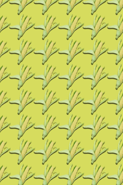 黄色背景上的玉米棒图案图片下载