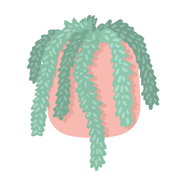 卡通城市丛林孤立的室内植物在一个粘土图片下载