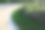 草坪上长方形的正式公园里的一年生花坛。完美连接的花坛在步行区长椅白色和紫色的花非常丰富多彩图片下载