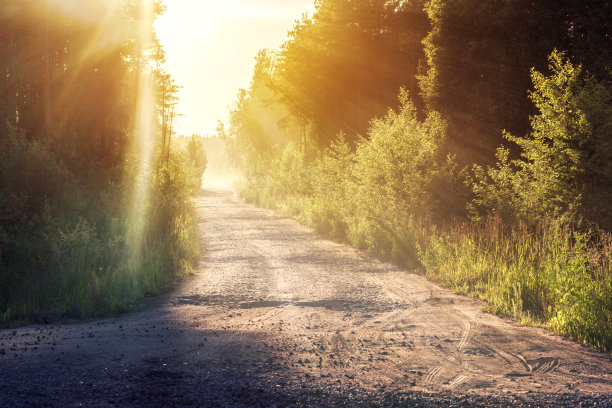 森林村庄的道路在阳光下日落或日出图片下载