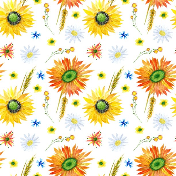 水彩无缝图案与向日葵，雏菊，小麦和鲜花，秋天的插图图片下载
