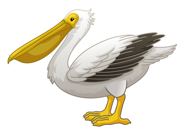 站着大白鹈鹕的卡通图片下载
