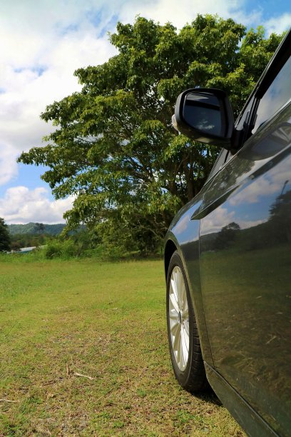 在春天或夏天，一辆灰色的汽车在绿色的草地上，有大树和蓝色的天空。图片下载