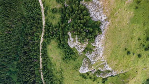 狭窄的街道之间的林地，无人机的视野。森林中道路的鸟瞰图图片下载