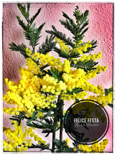 妇女节快乐图片下载