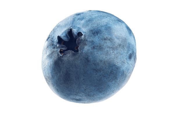 成熟蓝莓图片下载