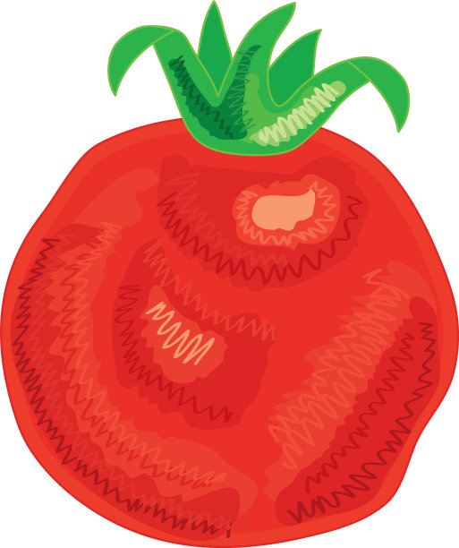 番茄蔬菜健康图片下载