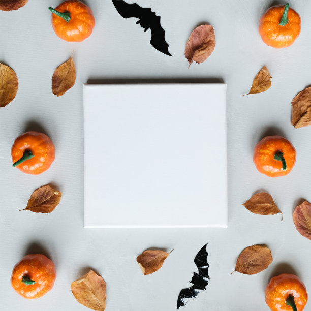 空白的帆布框架和万圣节装饰图片下载
