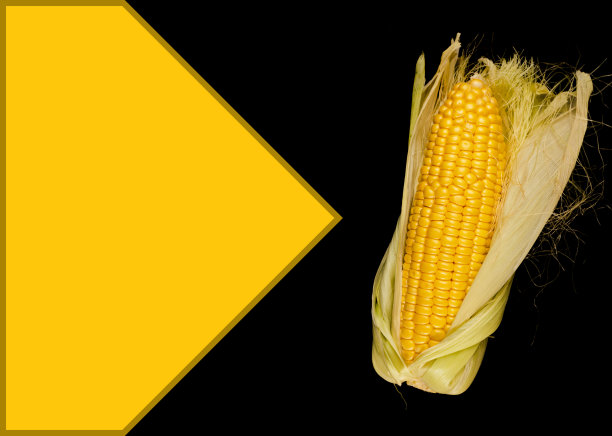 在黑色的背景上，剥了一半的玉米皮，照片中有文字的空间图片下载