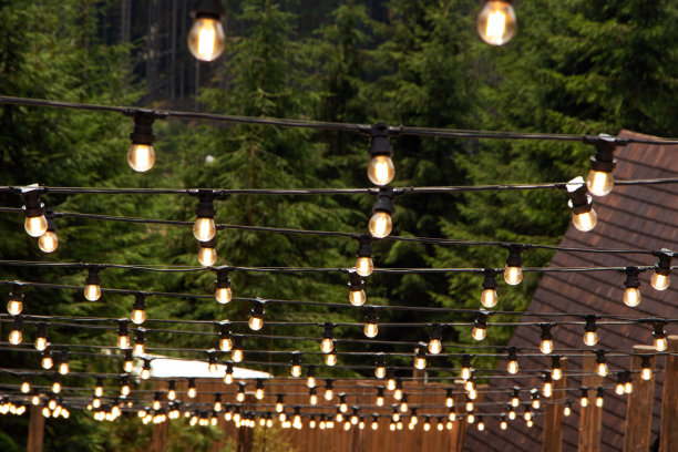 晚上装饰户外的灯串挂在花园里的树上图片下载
