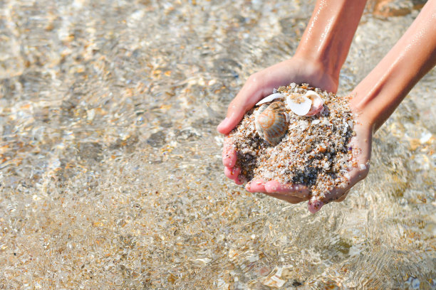 轻沙从贝壳和从海底的贝壳在孩子的手中图片下载