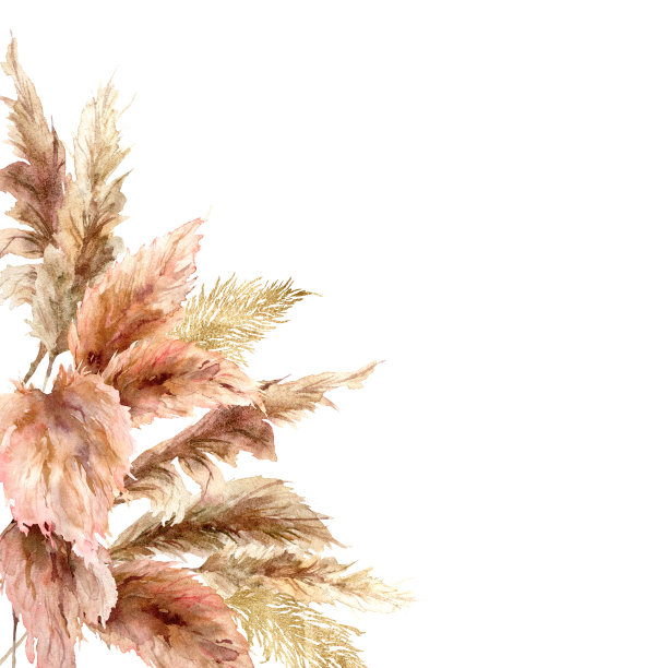 水彩热带边界干燥的蒲苇草和黄金纹理。手绘异国情调的框架孤立在白色背景。花卉插图的设计，印刷，织物或背景。图片下载
