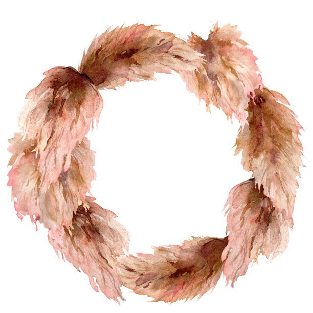 水彩热带花环与干燥的潘帕斯草。手绘的异国树叶孤立在白色的背景上。花卉插图的设计，印刷，织物或背景。图片下载