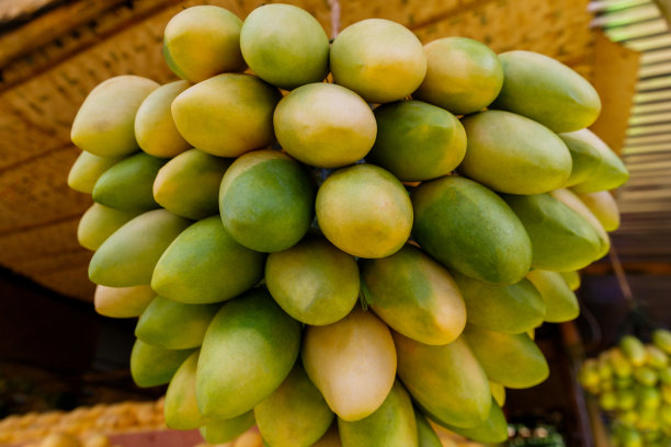 芒果的节日。和新鲜的黄色芒果一起站在街市上图片下载