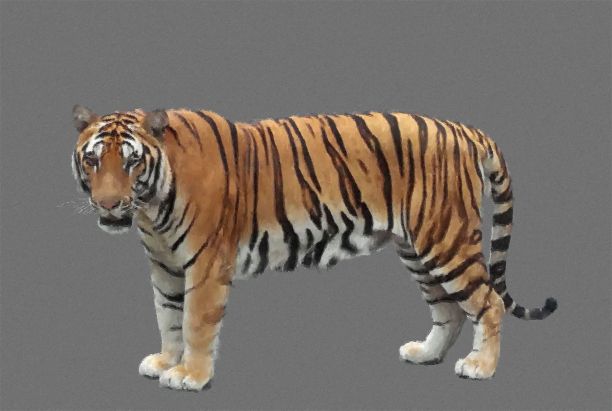 老虎侧视图。彩色插图。油画。图片下载