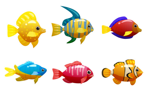 集热带黄鱼珊瑚礁异国情调宠物图片下载