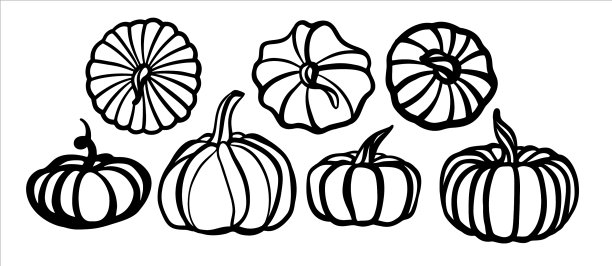 南瓜设成黑色和白色图片下载