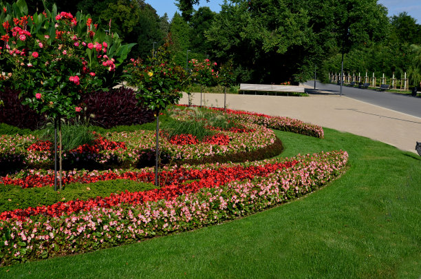 城堡前一层的装饰性花坛。一年生植物的种植是圆形的，有月亮的形状。树的玫瑰图片下载