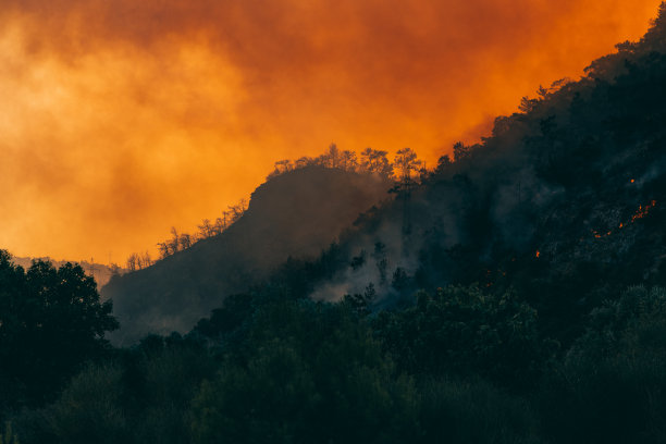 红松林大火图片下载