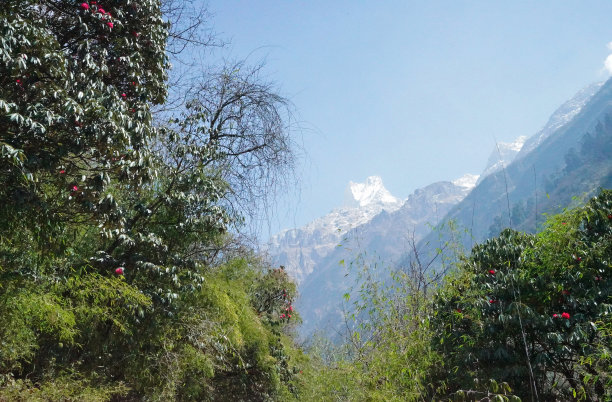 雪山山脉的自然景观图片下载