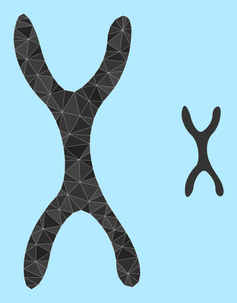 lowpoly染色体图标图片下载