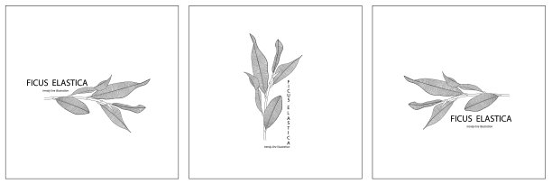 时髦的绿色无花果树枝与树叶的标志图片下载