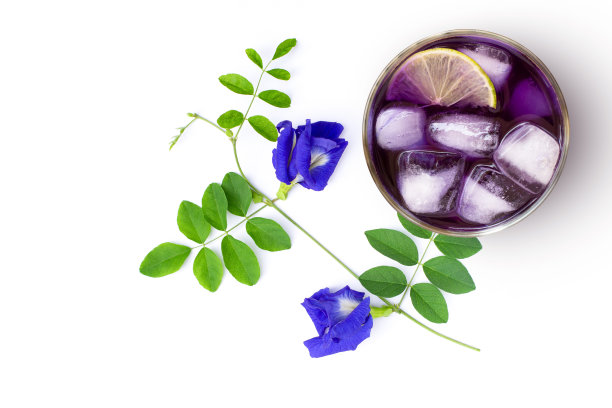 鲜蝴蝶豌豆花或蓝豌豆汁冰茶图片下载