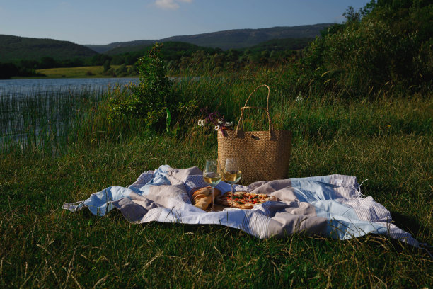 在大自然中野餐:披萨、奶酪、法棍面包和几杯葡萄酒图片下载