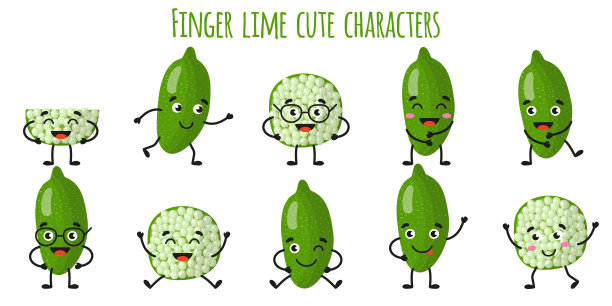 手指酸橙水果可爱有趣的性格与不同的姿势和情绪。图片下载