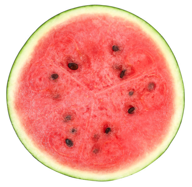 前视图。半成熟的西瓜图片下载