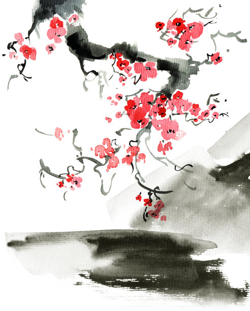 樱花开花树图片下载