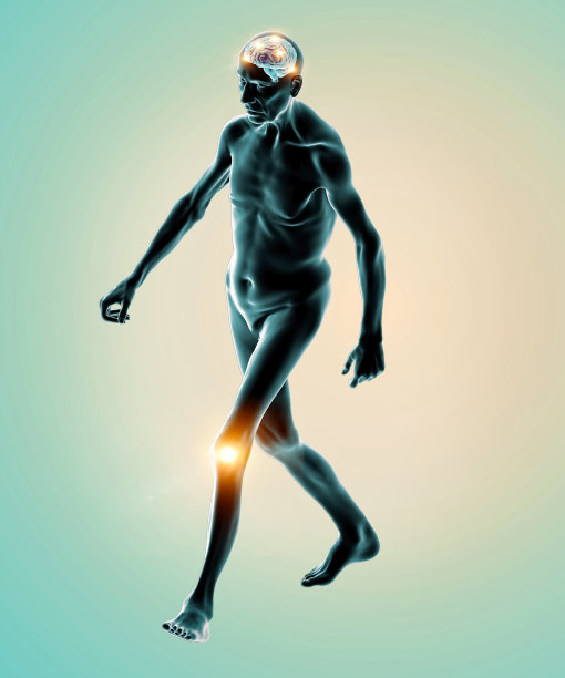 运动功能。膝盖疼痛。大脑是如何控制人体运动的。老人图片下载