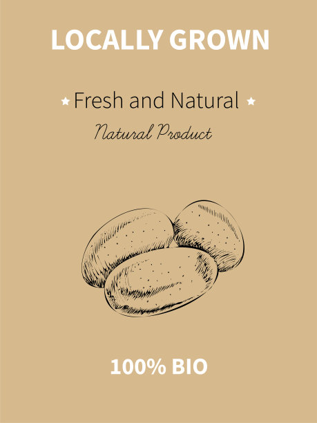 向量手绘草图的植物旗帜。生态食品。老式矢量插图的土豆。图片下载