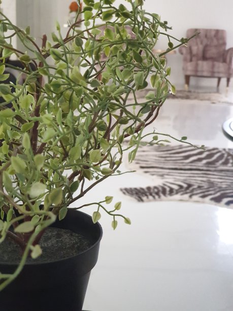 以流行的纳季德方式烘烤的烤肉和洋葱早餐图片下载