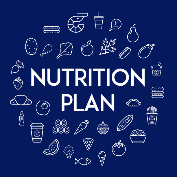 营养计划图标以圆形标示图片下载