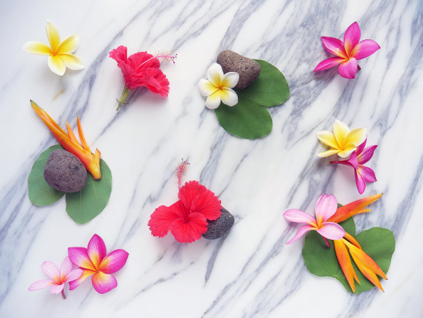 温泉放松美丽的热带花卉壁纸或背景图片下载