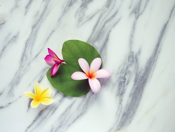 温泉放松美丽的热带花卉壁纸或背景图片下载