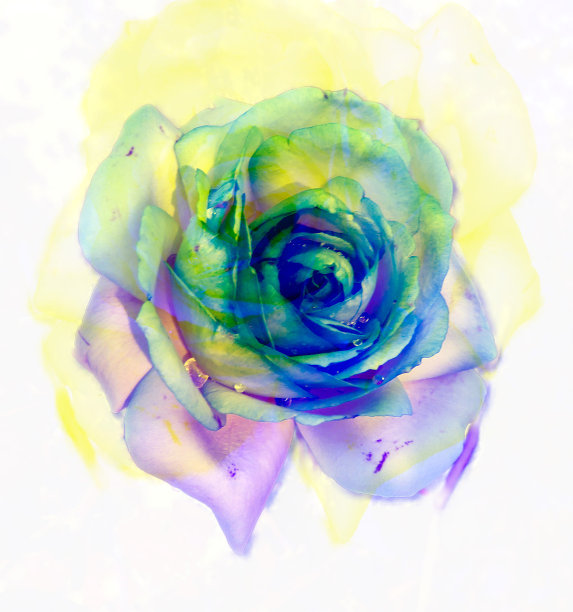 玫瑰-抽象多曝光摄影背景图片下载