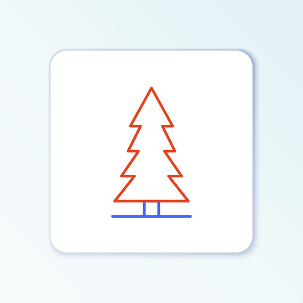 线加拿大云杉图标孤立的白色图片下载