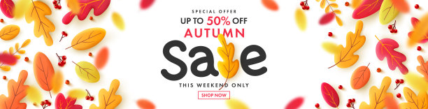 向量秋天出售海报或旗帜与落叶。秋天和秋天季节的问候和礼物。为横幅，传单或演示的秋季设计模板。图片下载