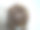 显示真菌生长的微生物学家。图片下载