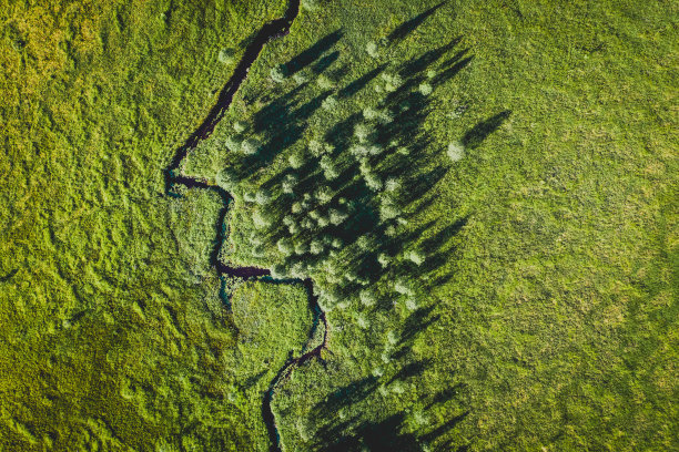 鸟瞰图的河流，沼泽和森林在Martimoaapa国家公园，芬兰图片下载