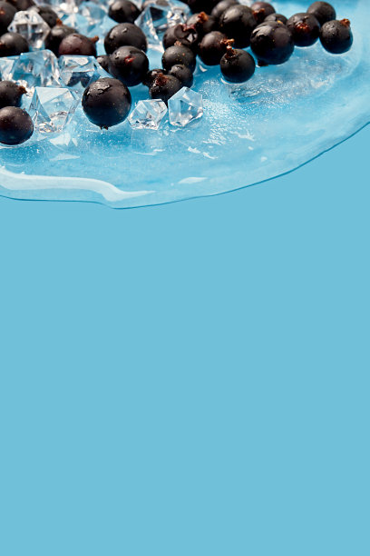 一堆浆果放在冰片里。有黑醋栗图案的静物画图片下载