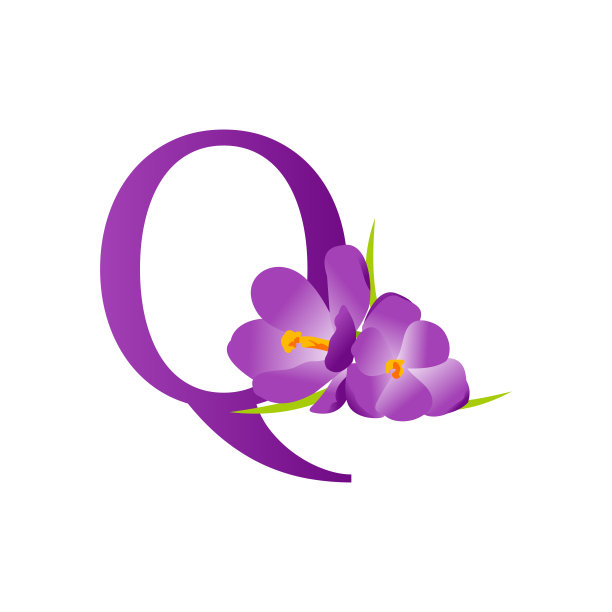 美首Q花图片下载