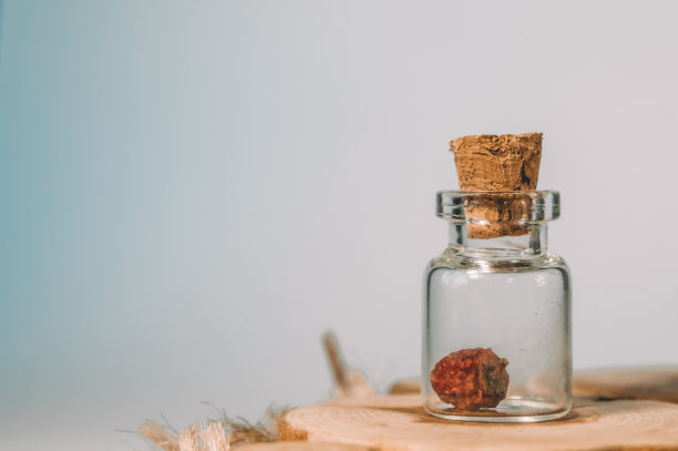 玻璃瓶用塞子盖上，里面有干花楸浆果。图片下载