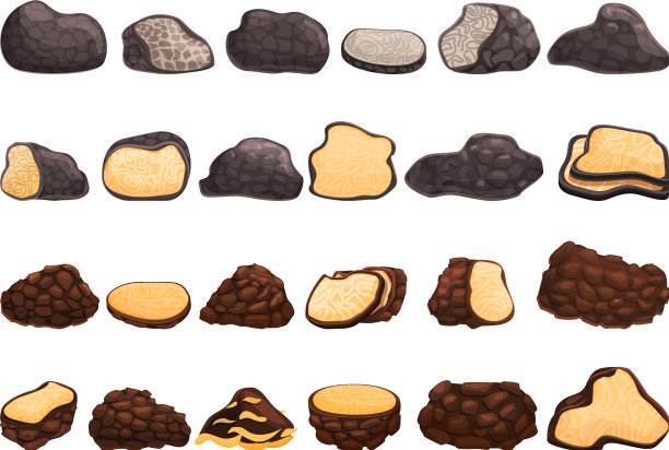 松露图标设定卡通风格图片下载