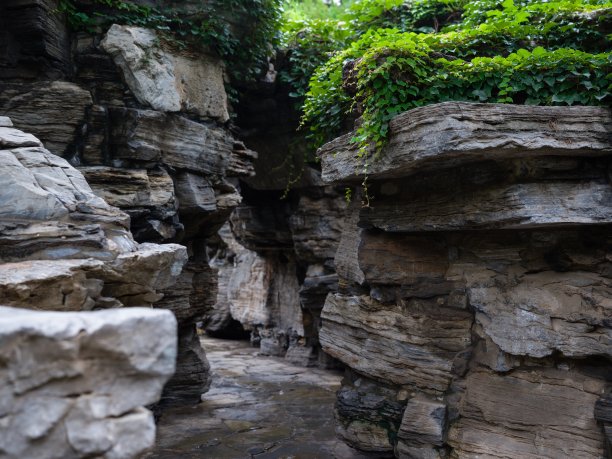 假山有沟槽和绿色植物图片下载