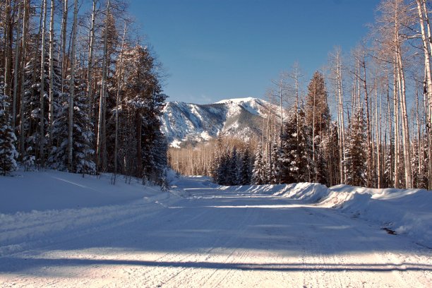 路不走了图片下载