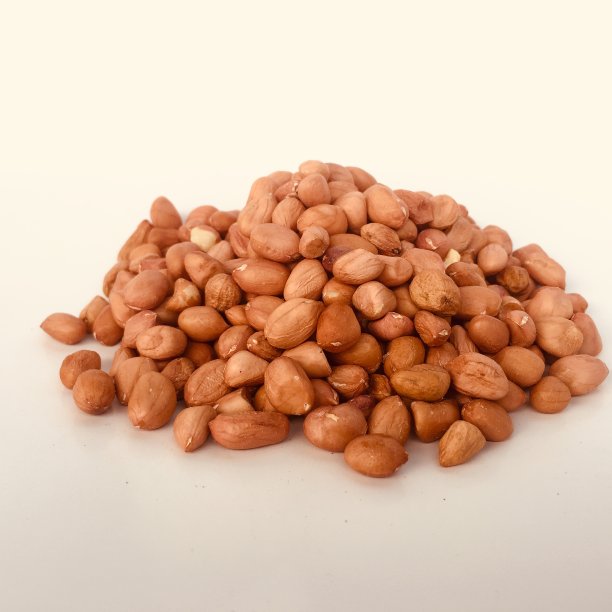 新鲜的生花生。图片下载