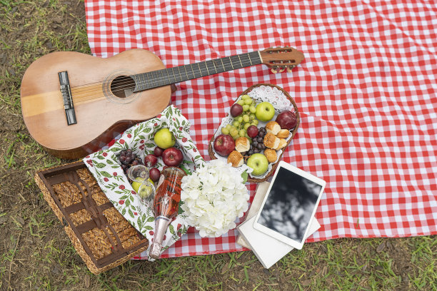 航拍的一张野餐桌布上有一把吉他，水果，葡萄酒和一块平板躺在草地上。图片下载